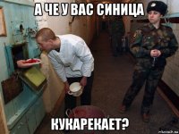 а че у вас синица кукарекает?