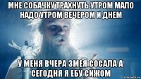 мне собачку трахнуть утром мало надо утром вечером и днем у меня вчера змея сосала а сегодня я ебу сижом