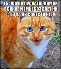 ты шо ни пускаеш домой всякие мемы создаёт ни стыда ни совести нету 