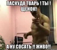 паскуда тварь ! ты ! щенок! а ну сосать !! живо!!