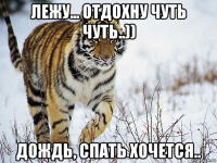 лежу... отдохну чуть чуть..)) дождь, спать хочется..