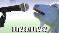  шлава, шлава
