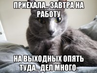 приехала.. завтра на работу на выходных опять туда.. дел много.