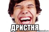  дристня