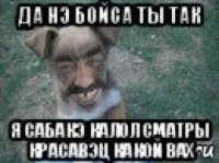 да нэ бойса ты так я сабакэ калол сматры красавэц какой вах