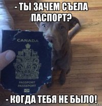 - ты зачем съела паспорт? - когда тебя не было!