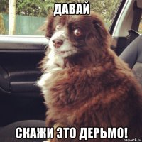 давай скажи это дерьмо!