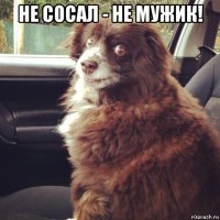не сосал - не мужик! 