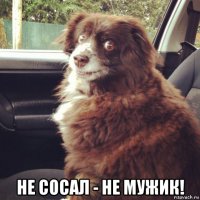  не сосал - не мужик!