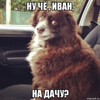 ну чё , иван, на дачу?