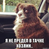  я не предел в тачке хозяин..