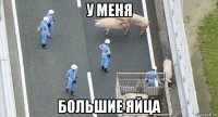 у меня большие яйца