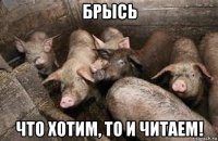 брысь что хотим, то и читаем!