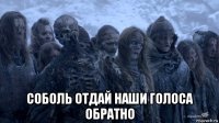  соболь отдай наши голоса обратно