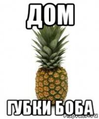 дом губки боба