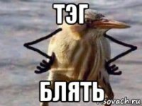 тэг блять