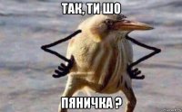 так, ти шо пяничка ?