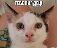 тебе пиздец! 