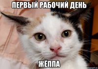 первый рабочий день жёппа