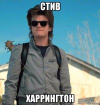 стив харрингтон