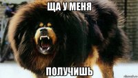 ща у меня получишь