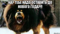 ка? тебе надо оставить до нового года?!! 