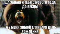 ща залаю и тебя с нового года до весны - а у меня зимой 17 января день рождения