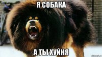 я собака а ты хуйня