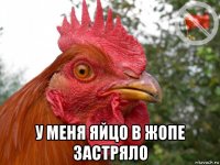  у меня яйцо в жопе застряло