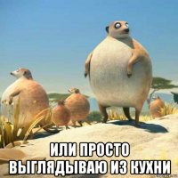  или просто выглядываю из кухни
