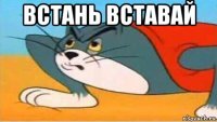 встань вставай 