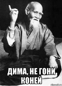  дима, не гони коней