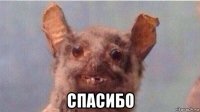  спасибо