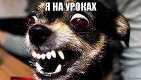 я на уроках 
