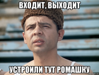 входит, выходит устроили тут ромашку