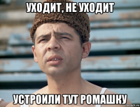 уходит, не уходит устроили тут ромашку