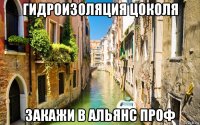 гидроизоляция цоколя закажи в альянс проф