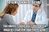 почему он не отвечает так какое говно вы говорите у вашей собачки, как пюрешка