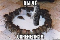 вы чё охренели?!!