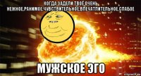 когда задели твоё очень нежное,ранимое,чувствительное,впечатлительное,слабое мужское эго
