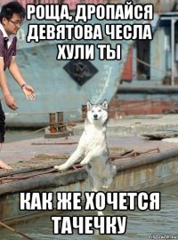 роща, дропайся девятова чесла хули ты как же хочется тачечку