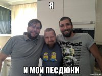 я и мои песдюки