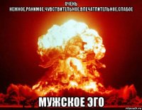 очень нежное,ранимое,чувствительное,впечатлительное,слабое мужское эго