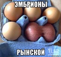 эмбрионы рынской