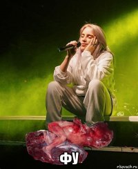  фу