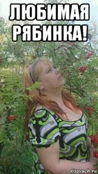 любимая рябинка! 