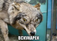  вскукарек