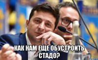  как нам еще обустроить стадо?