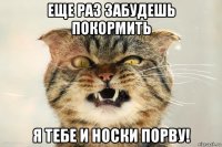 еще раз забудешь покормить я тебе и носки порву!