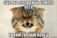 еще раз погладишь чужого кота твоим тапкам конец